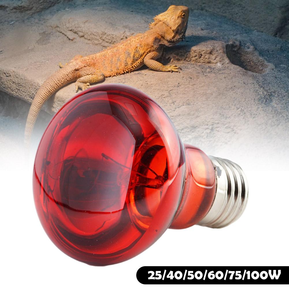 thumbnail image 3 of SGACAI Lámpara de calor solar infrarroja para reptiles (E27) Bombilla CALIENTE = Luz, 3 of 7
