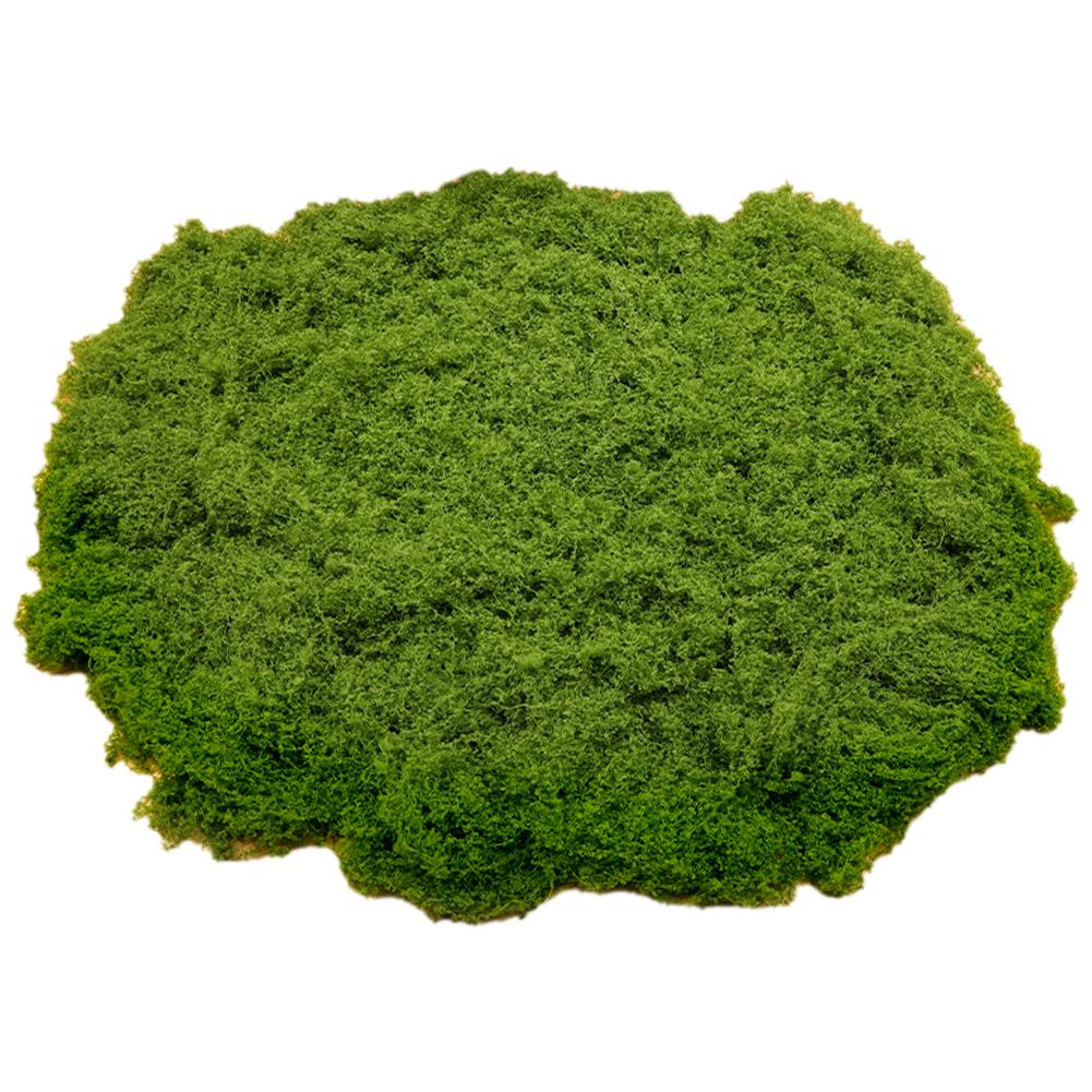 thumbnail image 4 of Ruifaya Plantas verdes artificiales, césped de musgo de poliéster para el hogar, sala de estar, jardín, 2024, artesanías de césped, decoración de paisajes falsos, plantas de musgo, macetas, plantas, 4 of 7