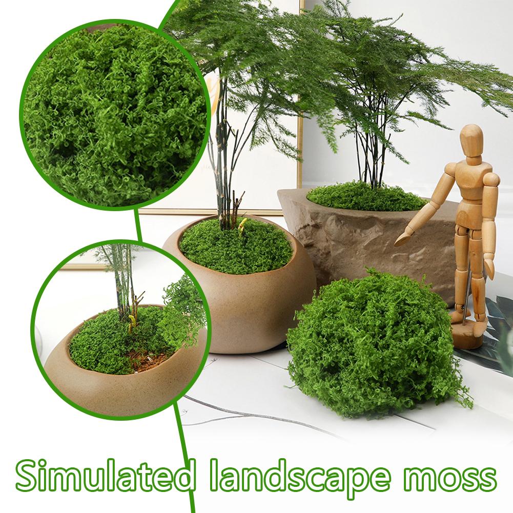 thumbnail image 3 of Ruifaya Plantas verdes artificiales, césped de musgo de poliéster para el hogar, sala de estar, jardín, 2024, artesanías de césped, decoración de paisajes falsos, plantas de musgo, macetas, plantas, 3 of 7