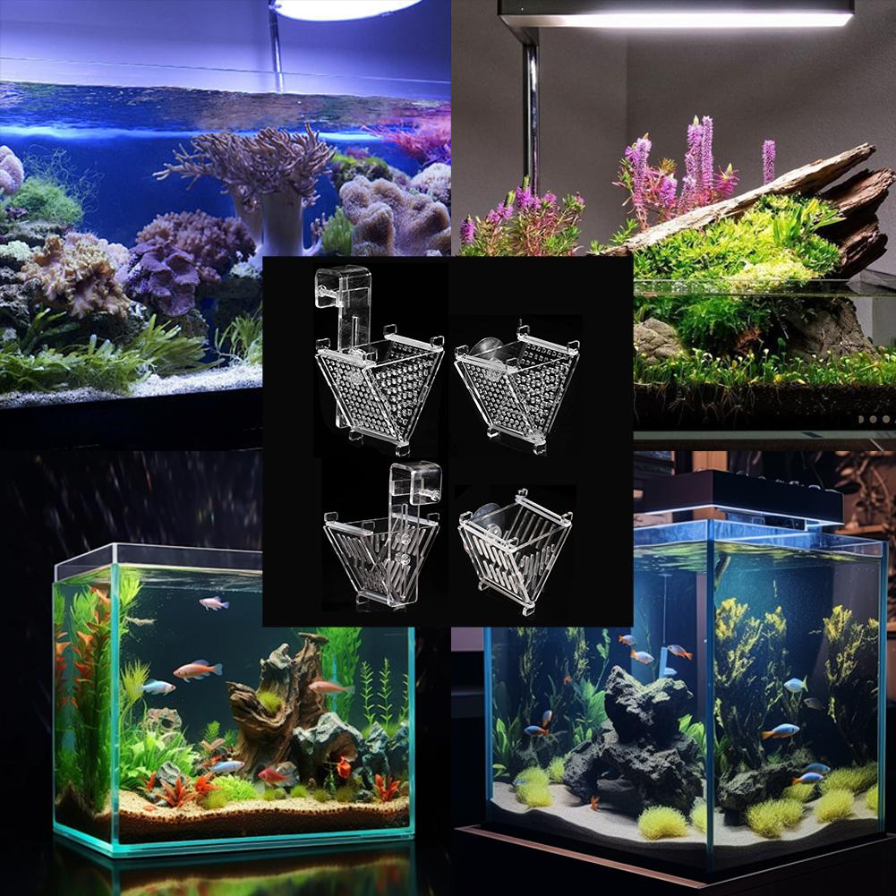 thumbnail image 3 of Wartleves Comedero para peces Comedero para lombrices rojas Comida para acuario Comedero para lombrices vivas Ventosa, 3 of 7