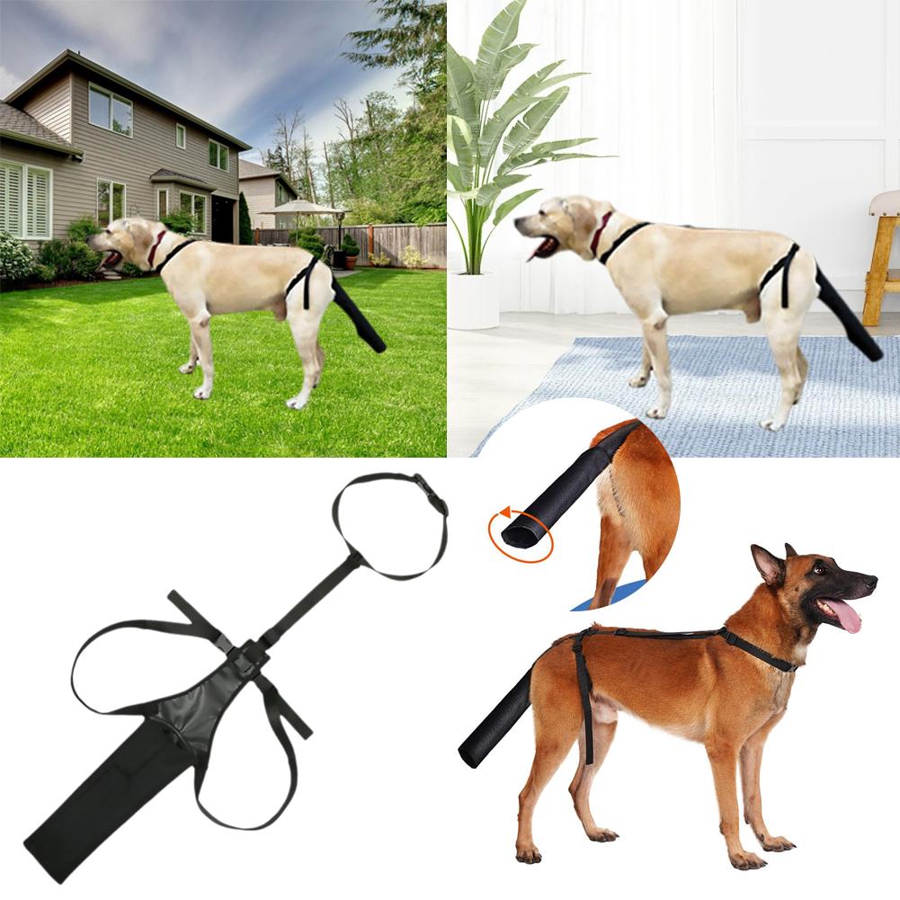 thumbnail image 2 of SGACAI Bolsa protectora de cola de perro Funda protectora de cola de perro Protector de cicatrización de heridas para mascotas, 2 of 7