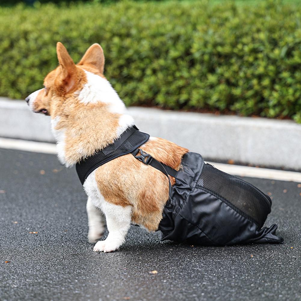 thumbnail image 4 of SGACAI Bolsa de arrastre para mascotas con patas traseras paralizadas, transpirable, para perros y gatos, protección contra lesiones ✨j, 4 of 7