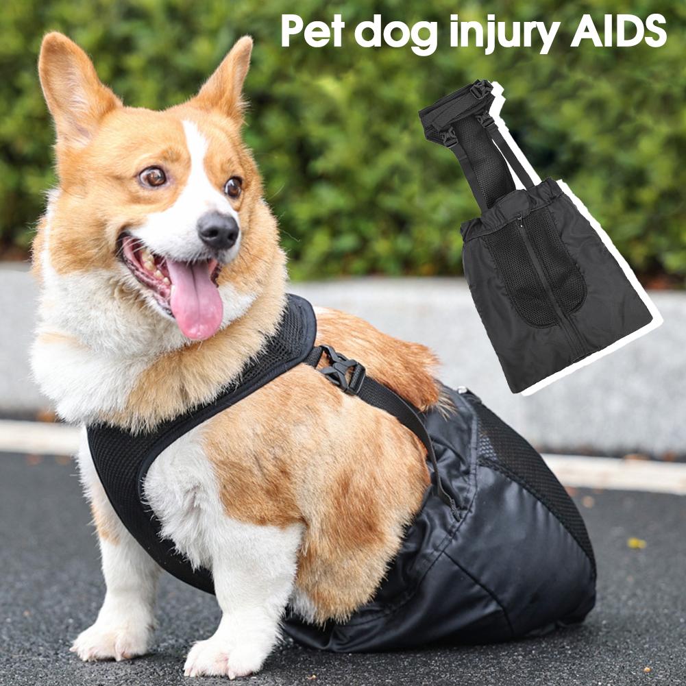 thumbnail image 3 of SGACAI Bolsa de arrastre para mascotas con patas traseras paralizadas, transpirable, para perros y gatos, protección contra lesiones ✨j, 3 of 7
