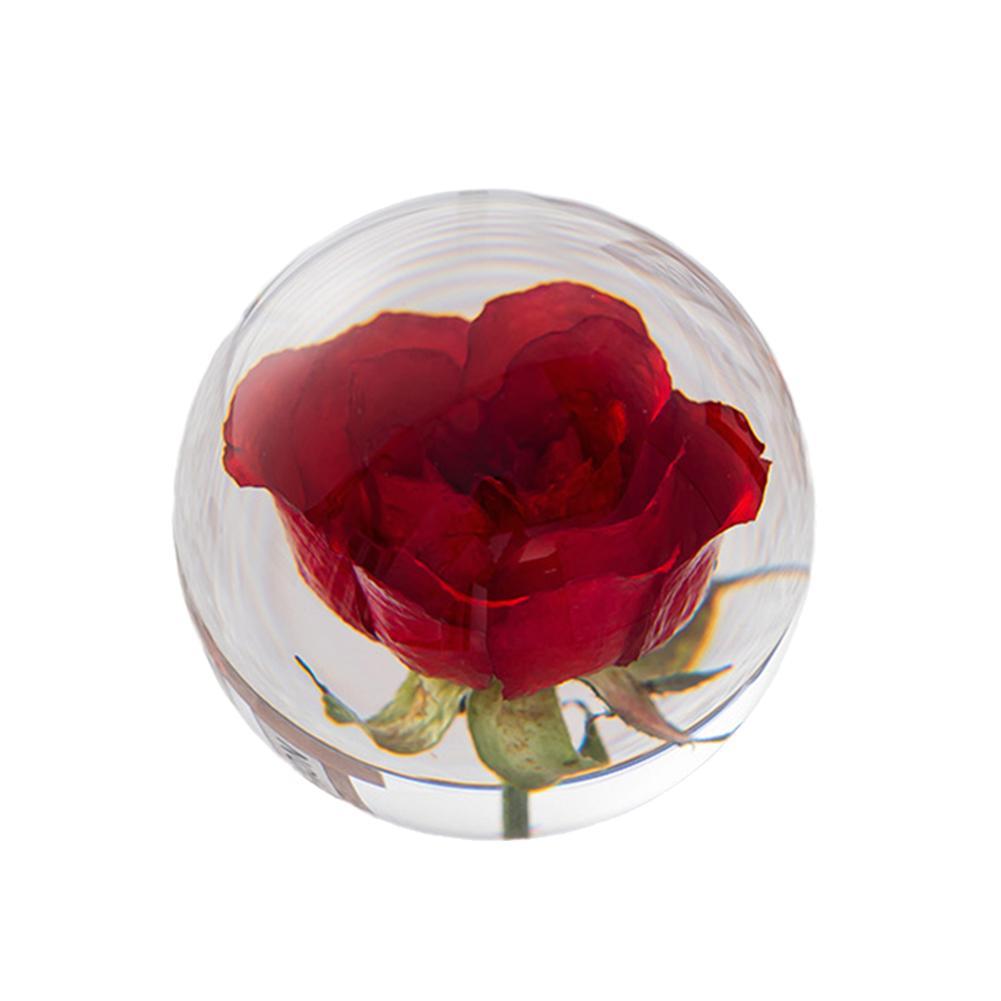 thumbnail image 5 of SGACAI Bola de cristal con flor preservada, flor en espécimen de resina de lucita transparente, esfera transparente para sala de estar súper decorativa, 5 of 7